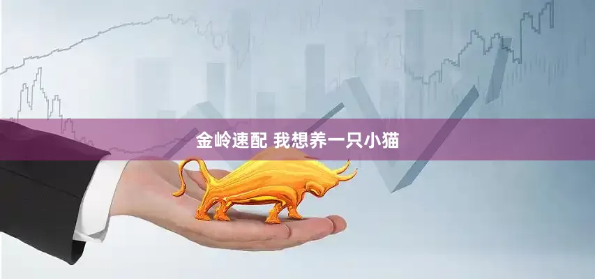 金岭速配 我想养一只小猫