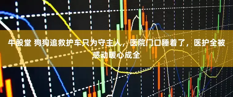 牛股堂 狗狗追救护车只为守主人，医院门口睡着了，医护全被感动暖心成全