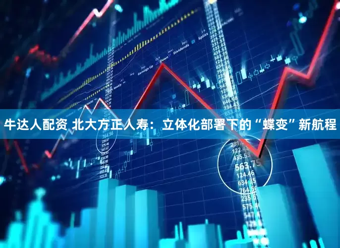 牛达人配资 北大方正人寿：立体化部署下的“蝶变”新航程