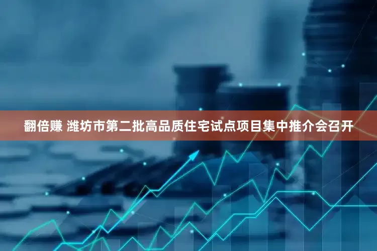 翻倍赚 潍坊市第二批高品质住宅试点项目集中推介会召开
