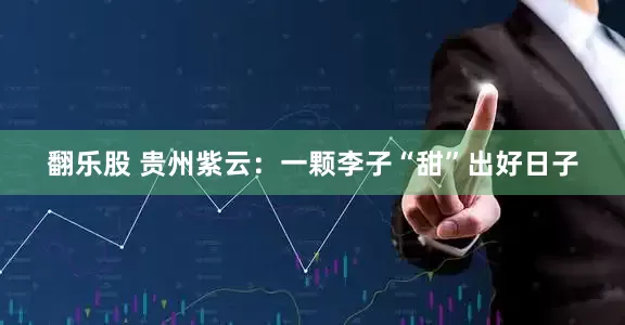 翻乐股 贵州紫云：一颗李子“甜”出好日子