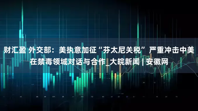 财汇盈 外交部：美执意加征“芬太尼关税” 严重冲击中美在禁毒领域对话与合作_大皖新闻 | 安徽网