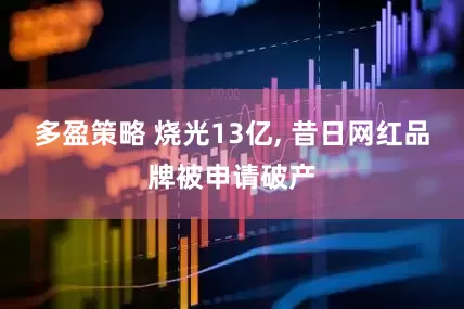 多盈策略 烧光13亿, 昔日网红品牌被申请破产