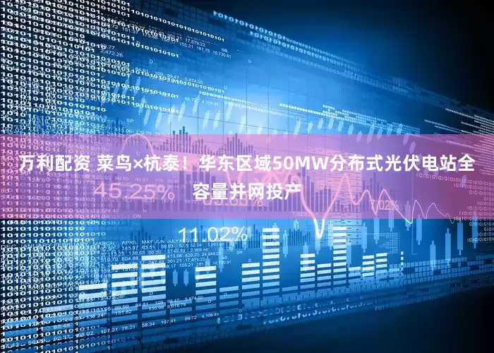 万利配资 菜鸟×杭泰！华东区域50MW分布式光伏电站全容量并网投产