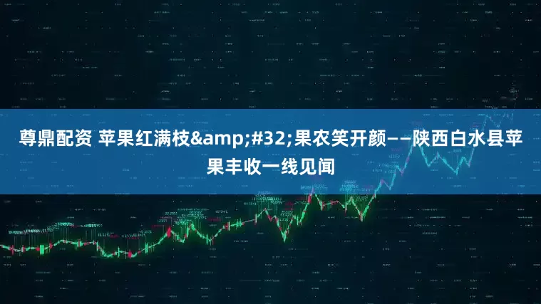 尊鼎配资 苹果红满枝&#32;果农笑开颜——陕西白水县苹果丰收一线见闻